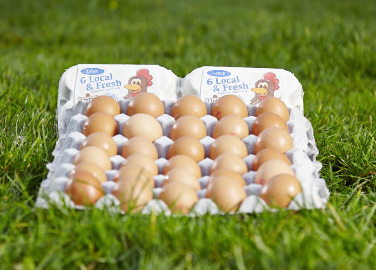Eggs
