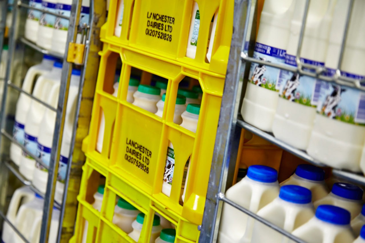 Fresh dairy products ready for delivery